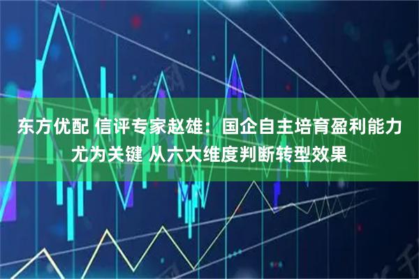东方优配 信评专家赵雄：国企自主培育盈利能力尤为关键 从六大维度判断转型效果