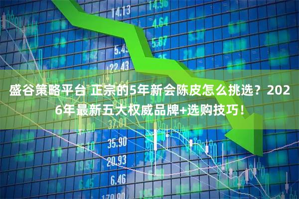 盛谷策略平台 正宗的5年新会陈皮怎么挑选？2026年最新五大权威品牌+选购技巧！