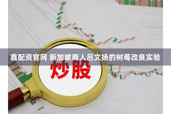 鑫配资官网 新加坡商人吕文扬的树莓改良实验